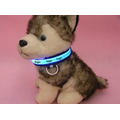 LED Dog Collar